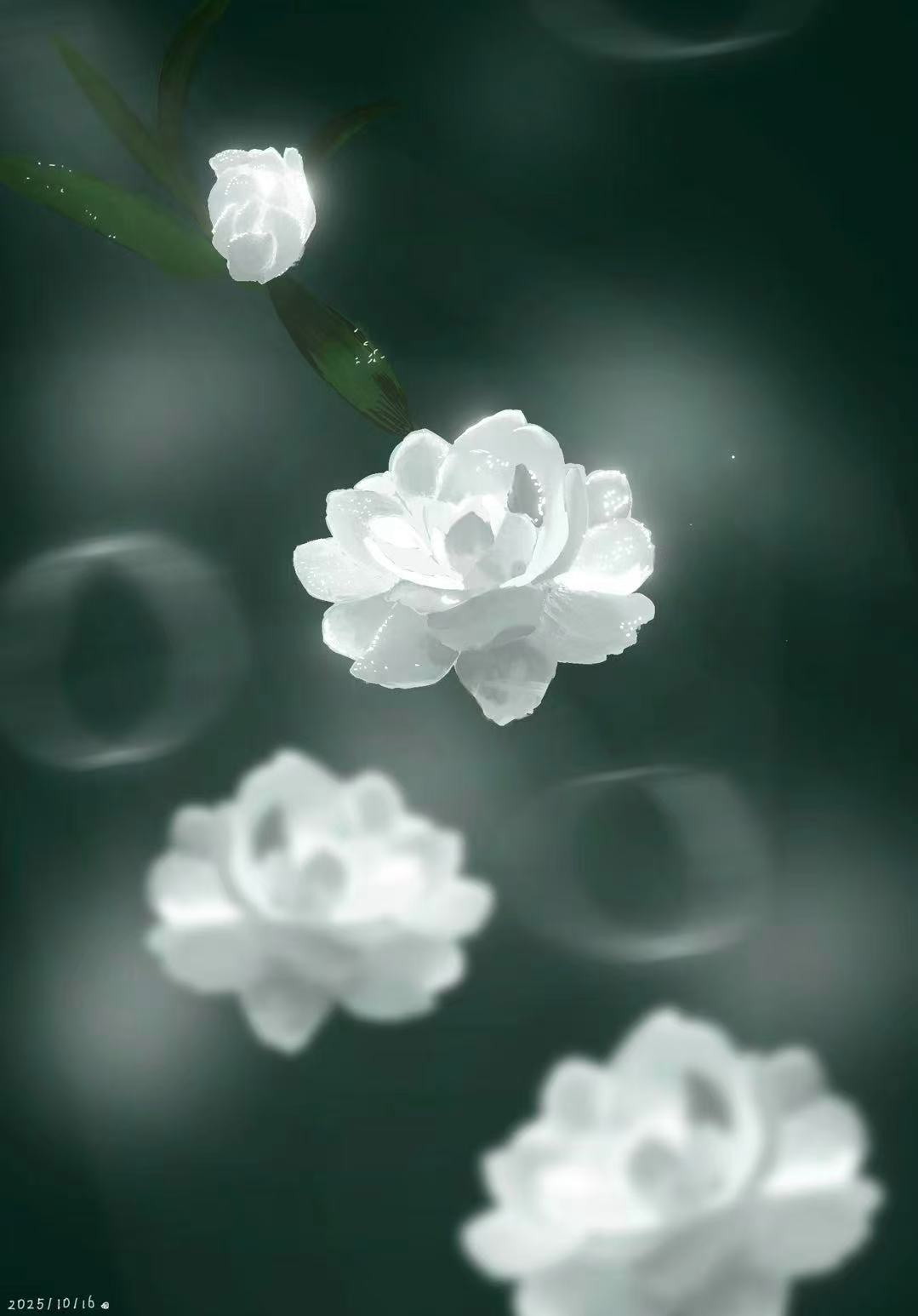画廊照片